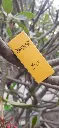 20250328_075152.webp