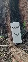 20250328_074311.webp
